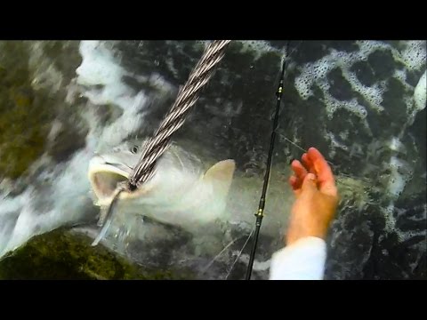 Fishing with WIRE LEADER at the Jetties