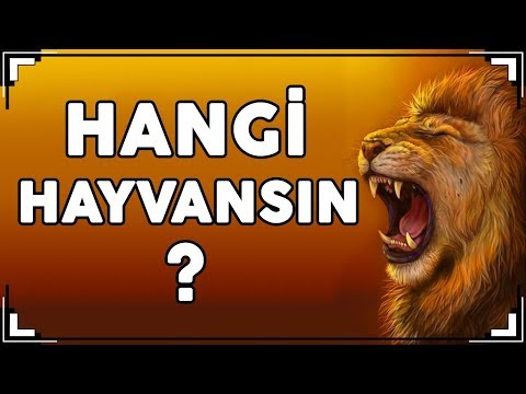 HANGİ HAYVANSIN? (Hayvanlarla Kişilik Testi)