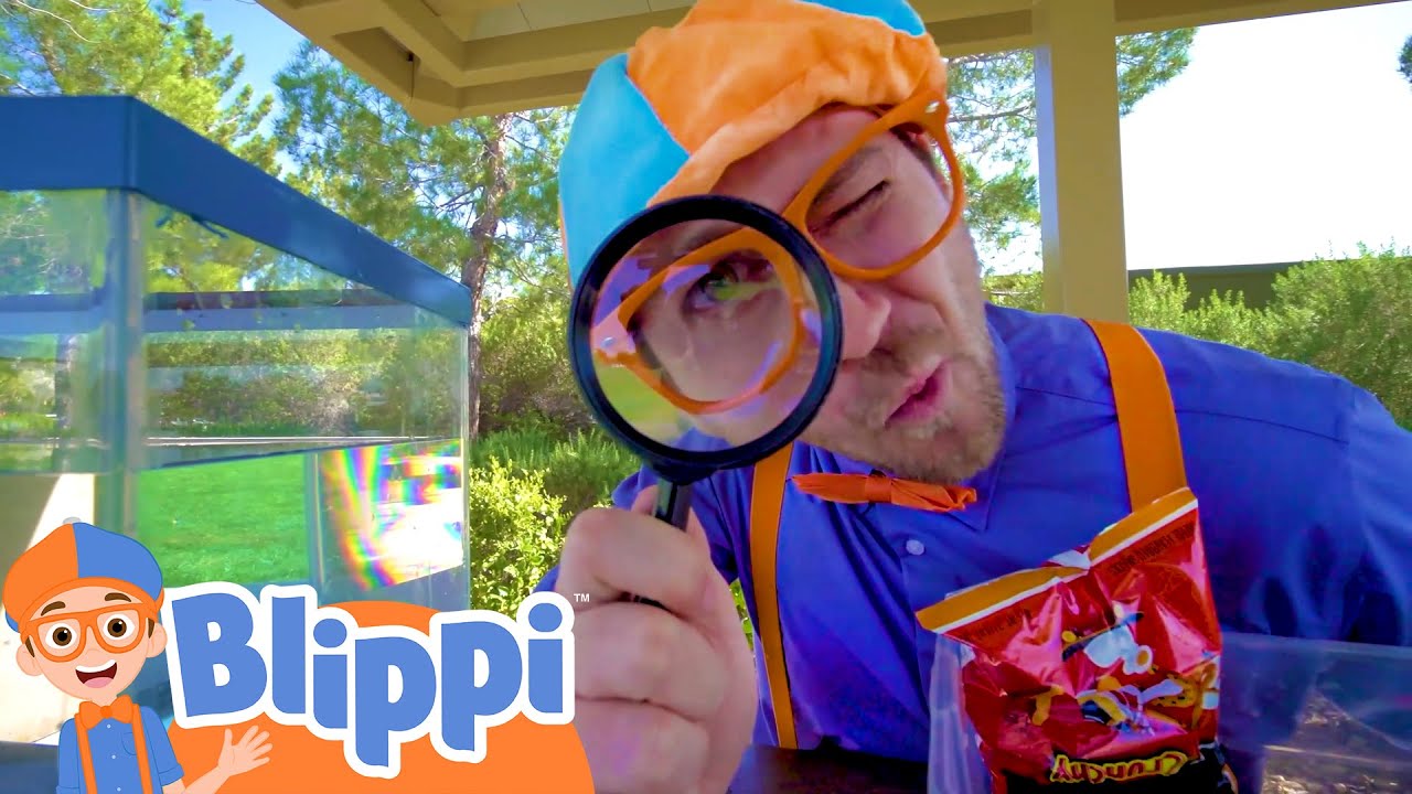 Sink or Float with Blippi Fun Science Experiment for Kids