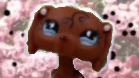 My New Intro(SPECIAL VIDEO VERSION, AGAIN READ DESC)