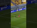 Shortsthe legend wonderful save