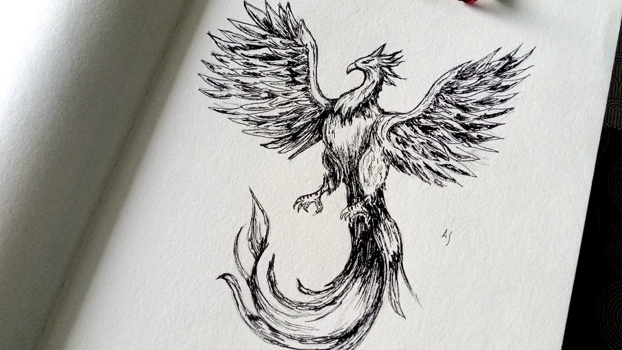 Phoenix ink drawing/ artwork tutorial for beginners