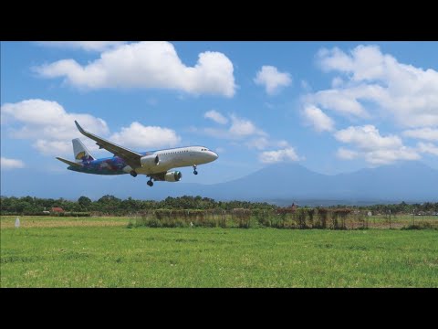 Video: Maskapai apa yang terbang ke BWI?