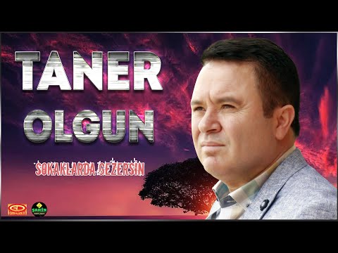 Taner Olgun - Sokaklarda Gezersin ( Ankara Oyun Havası )