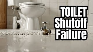 Toilet Shutoff FAILED - Replacement