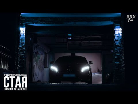 Лёша Стелит & Andery Toronto - Стая (Mustafa Aktas Remix)