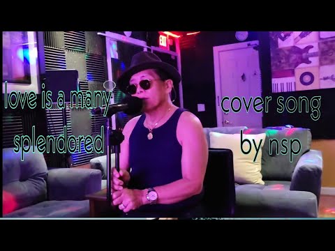 Love Is A Many Splendored Thing /Cover/ By NSP