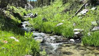 A Perfect Tenkara Creek
