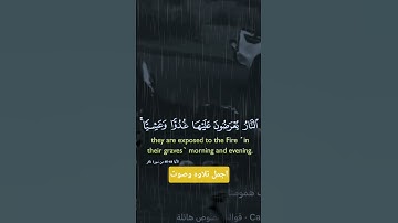 وأفوض أمري إلى الله صوت تخشع له #تلاوة_خاشعة #قرآن #راحة_نفسية #اكسبلور #funny #لايك #متابعه