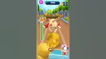 dog run game #petrun game #viral #gaming #shortvideo #shorts #trending