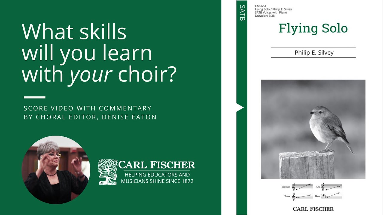 Flying Solo (CM9651) by Philip E. Silvey