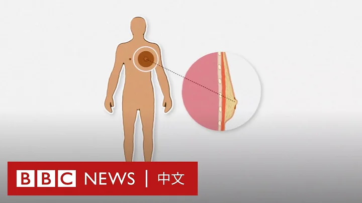 男性乳頭和五個人體多餘器官 你了解多少？－ BBC News 中文 - 天天要聞