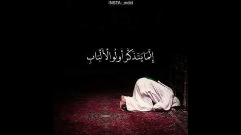 حالات واتس اب دينيه (الشيخ ياسر الدوسري )(ماتيسر من سورة الزمر)♥️)(ارح مسمعك)