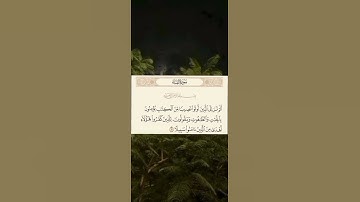 ما شاء الله تبارك الرحمن #تلاوه من  #القارئ #مشاري_ياسين حفظه الله #قرآن #اكتب_شي_تؤجر_عليه