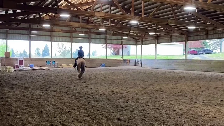 Good Girl Gone Bad - Horsemanship with Terry Irvin