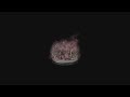 OST The Rotted Woods