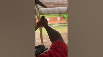 Tp9 sc elite is silky smooth .. #2ndamendment #edc #selfdefense #canik #shorts