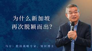 为什么新加坡再次脱颖而出？【直播精选793期】