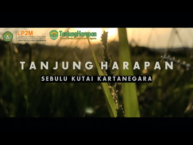 Video Profil Desa Tanjung Harapan | KKN UNMUL Tanjung Harapan 2023 class=
