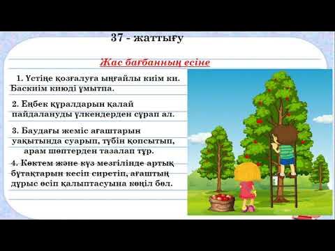 Интернеттегі конвульсиялар порно видео