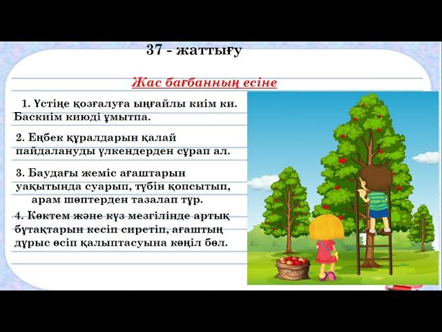 Spike және сирек жыныстық қатынас туралы бейне