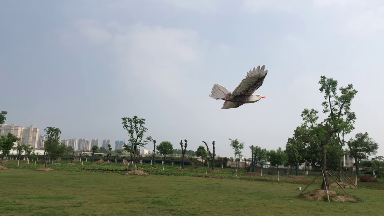 E19 2019 New 1.4M EPP Eagle with Aileron