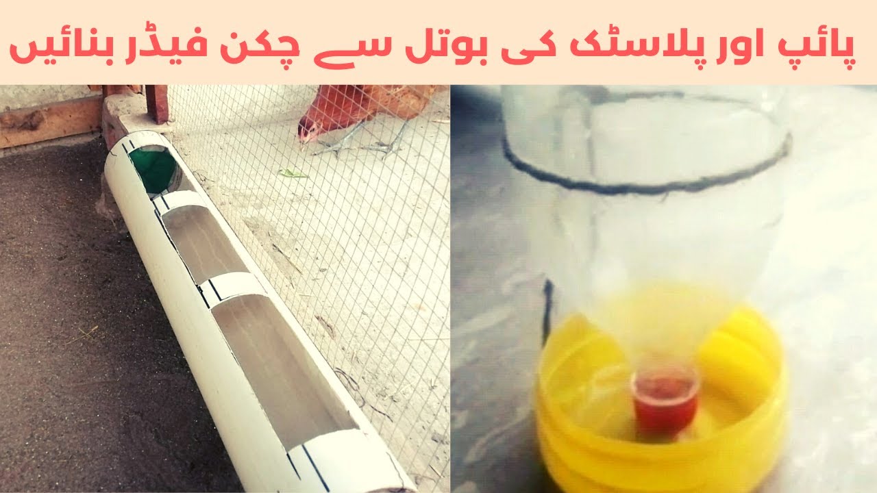 How to make Chicken Feeder - YouTube