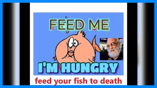 A HUNGRY FISH IS A HEALTHY FISH screenshot 4