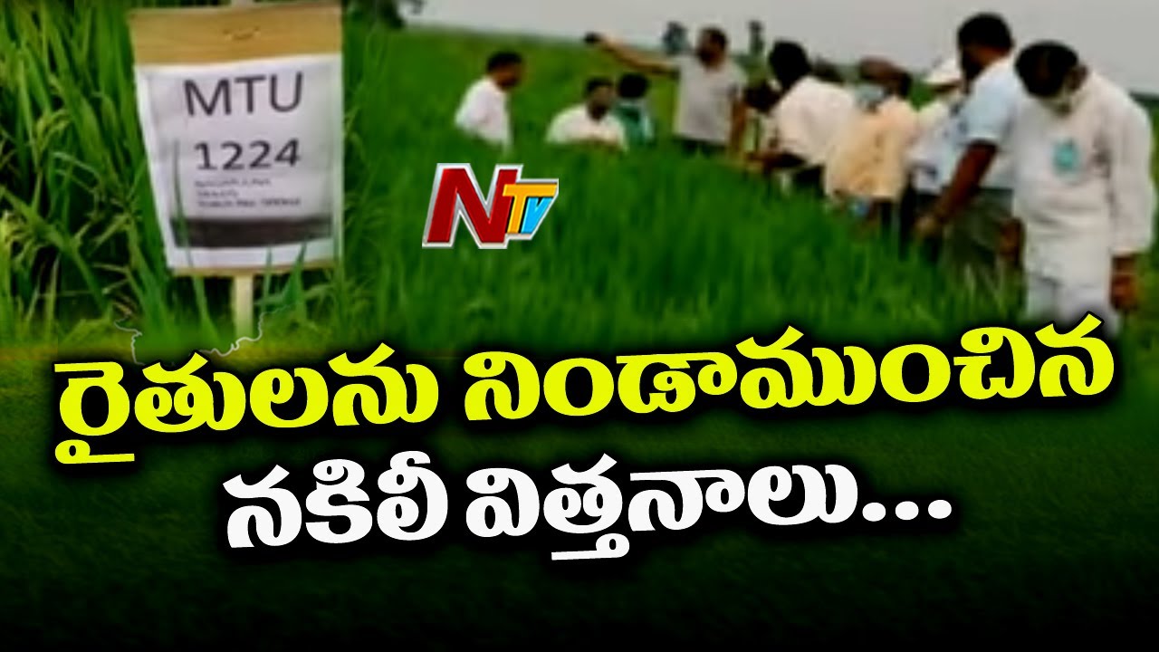 Fake Seeds Continue To Trouble Farmers In Khammam | NTV