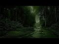 Relaxing forest rain sounds for sleeping relax study  atmosphere factory