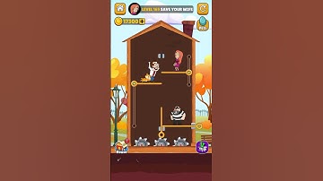 Home Pin Level 169  Gameplay Walkthrough