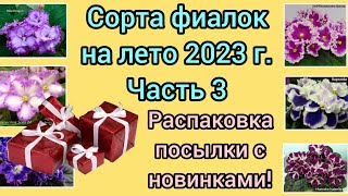 Сорта фиалок на лето 2023г. Часть 3. Распаковка посылки из Тюмени!