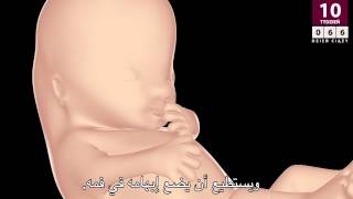 10th week of pregnancy الأسبوع العاشر من الحمل