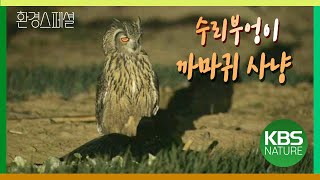 수달 먹다 남긴 물고기 먹는 삵! 환경스페셜 ‘겨울, 야생의 생존자’ / KBS 20110209 방송