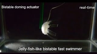 These Jellyfish-Bots Can Outswim Their Real-Life Counterparts