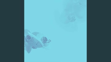 Tremendous Backdrops for Forgetting Vision