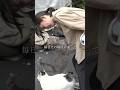 【全員救出】数十匹の野良猫を一年以上かけて全頭保護、猫の溜まり場に毎日通い続けた保護猫ボランティアの一年間