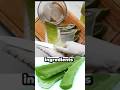 DIY Aloe Vera Soap for Soft & Glowing Skin 🌿 | Easy Homemade Soap Recipe