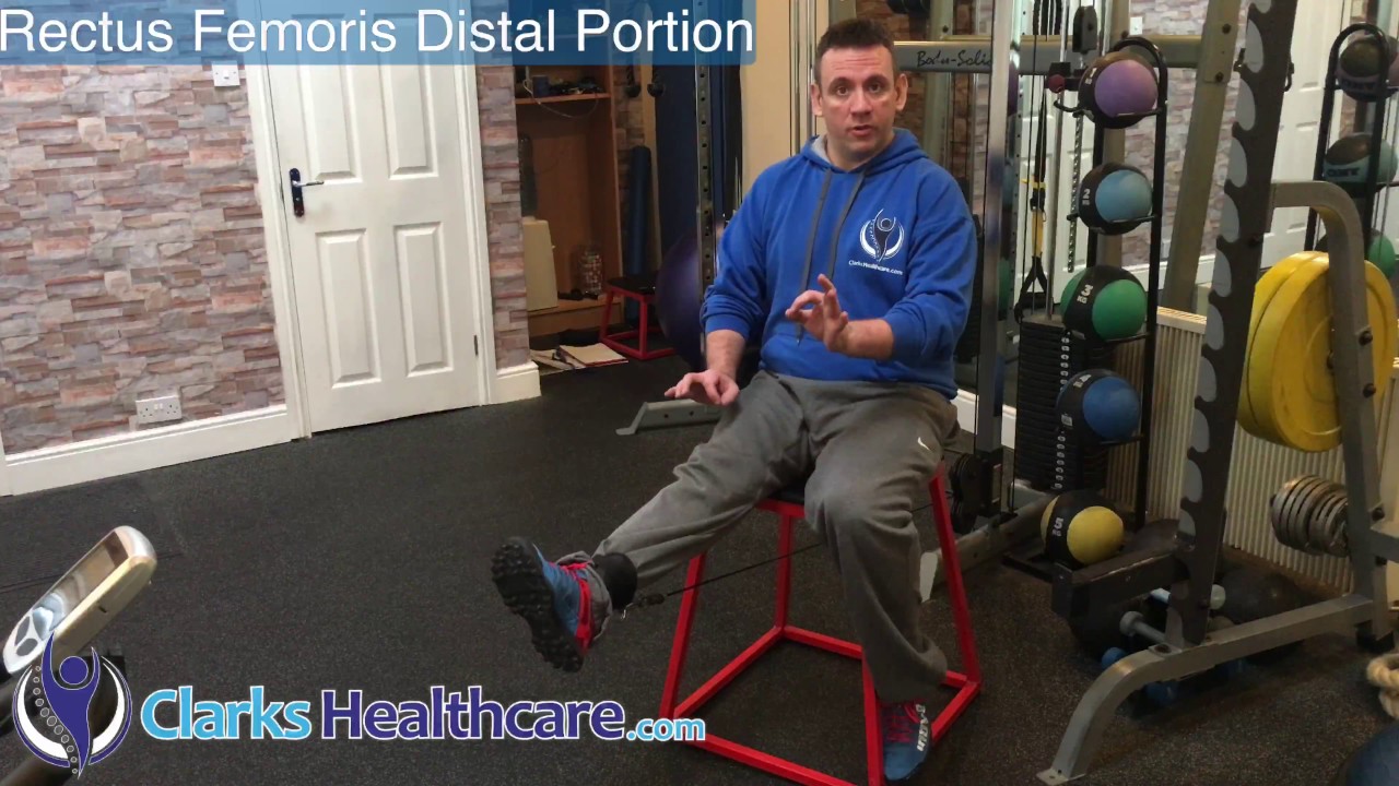 quadratus femoris activation exercises quadratus femoris activation exercises