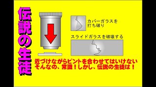 中学１年－くわしい顕微鏡の使い方と伝説の生徒－