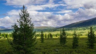 ПОЛЯРНЫЙ УРАЛ. Долина реки ПАЙПУДЫНА - оз. ЭСТОТО - реки ЭСТОВИС - НИЯЮ - УСА. Трейлер КРАЙНИЙ СЕВЕР