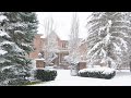 Winter Snow Storm Walk in Winter Forest and Cozy Homes in Toronto suburb - Snowfall Sound Ambience