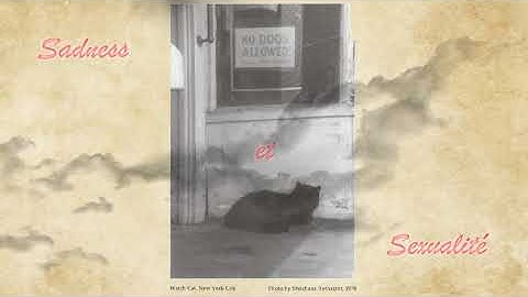 Sadness et Sexualité - 21sd century MIXER