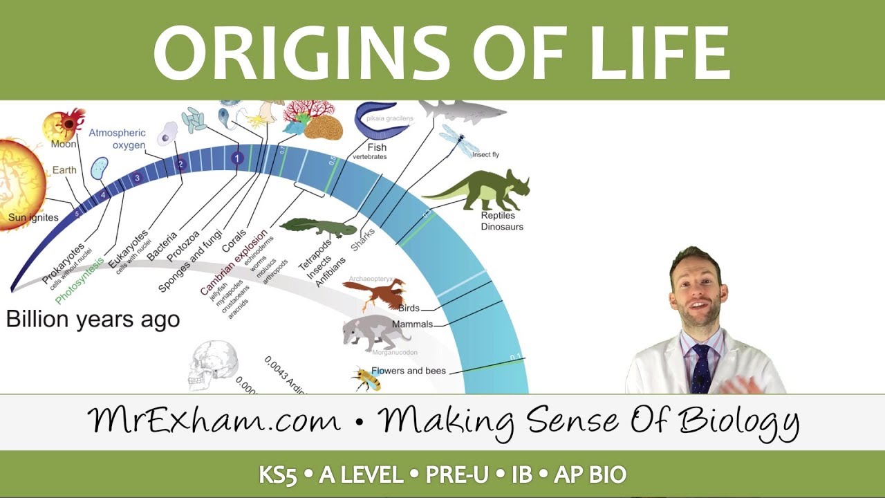 Origins Of Life Luca Endosymbiosis And Multicellularity Post 16 Biology A Level Pre U Ib Youtube