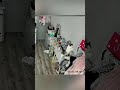 #funny #funnypets #youtube #cat #funnyanimals #youtubeshorts