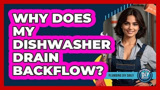 Why Does My Dishwasher Drain Backflow? - Plumbing DIY Daily