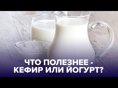 КЕФИР или ЙОГУРТ?