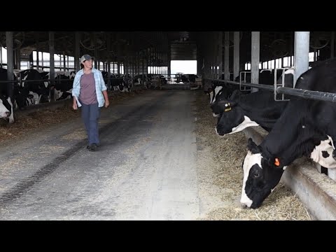 Practical Tips for Beginning Farmers: Create a Business Plan and Grow Intentionally