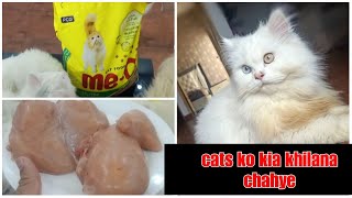 Cats ko Kya khilana chahye!!!!