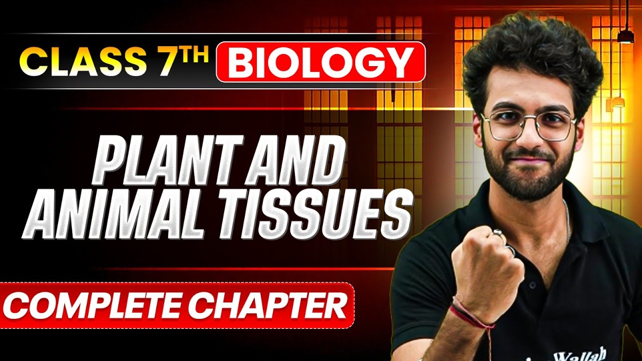 Plant and Animal Tissues |  ICSE Class 7 Biology Chapter 2  | Full Explanation | PW ICSE